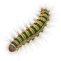 Imagen PNG para descargar